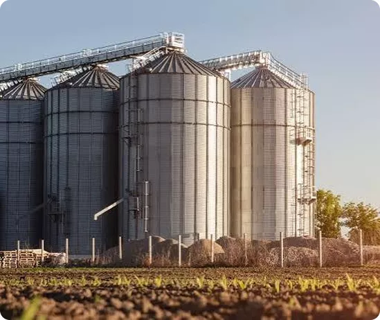 LBR-Group-Grain Storage and Silo Systems
